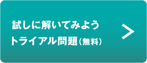 試しに解いてみよう　トライアル問題（無料）