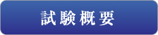 試験概要