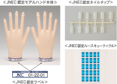 スキンアップスキンダウンが可能JNEC認定モデルハンド